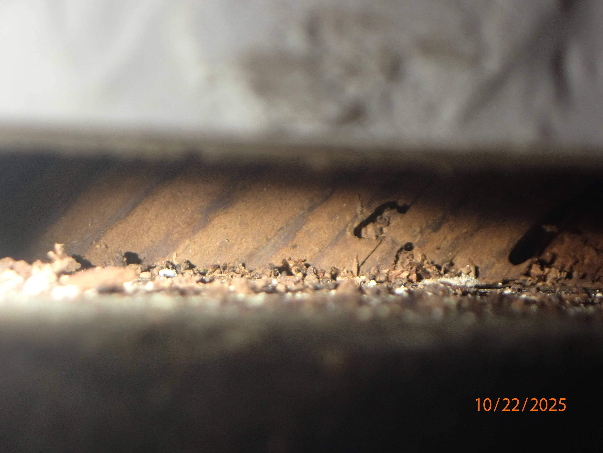 inspections Project 3